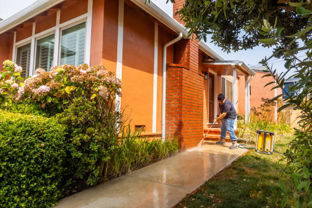 Best Pressure Washing Driveway  in Gardnerville Ranchos, NV